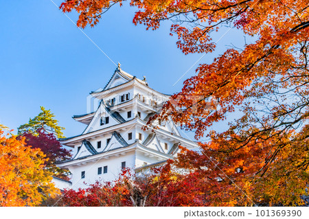 有秋葉的岐阜郡上八幡城 101369390