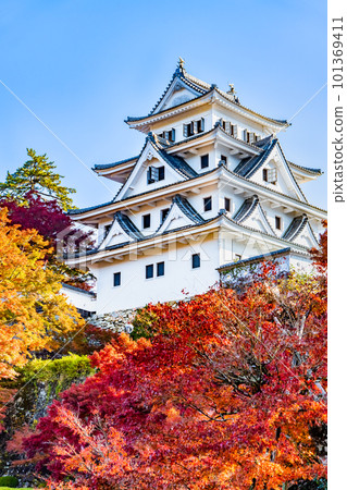 Gifu Gujo Hachiman Castle with autumn leaves 101369411