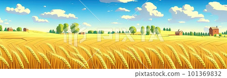 ears of wheat. Farm field. For package. Barley illustration in vintage style. Wheat grain. Summer landscape with a field of ripe wheat, hills and lobes in the background. Raster illustration. 101369832