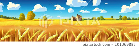 ears of wheat. Farm field. For package. Barley illustration in vintage style. Wheat grain. Summer landscape with a field of ripe wheat, hills and lobes in the background. Raster illustration. ears of wheat. Farm field. For package. Barley illustration in vintage style. Wheat grain. Summer landscape with a field of ripe wheat, hills and lobes in the background. Raster illustration. 101369885