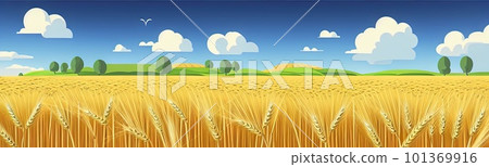 ears of wheat. Farm field. For package. Barley illustration in vintage style. Wheat grain. Summer landscape with a field of ripe wheat, hills and lobes in the background. Raster illustration. ears of wheat. Farm field. For package. Barley illustration in vintage style. Wheat grain. Summer landscape with a field of ripe wheat, hills and lobes in the background. Raster illustration. 101369916