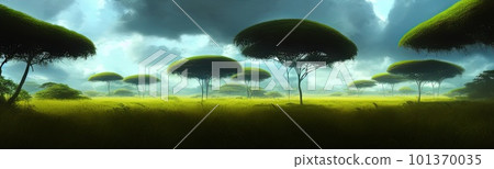wild savanna landscape banner. Savannah, African wildlife with acacia trees, grass, sand. Africa landscape, African acacia tree 101370035