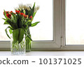 Two bouquets in glass vases of orange red and white tulip flowers on window against city background Two bouquets in glass vases of orange red and white tulip flowers on window against city background 101371025