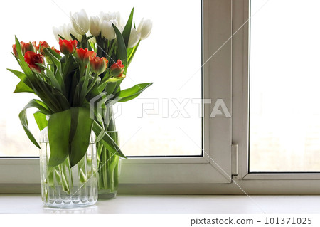 Two bouquets in glass vases of orange red and white tulip flowers on window against city background Two bouquets in glass vases of orange red and white tulip flowers on window against city background 101371025