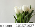 Tulip flowers bouquet white color on white background. Close-up. Text copy space. Tulip flowers bouquet white color on white background. Close-up. Text copy space. 101371027