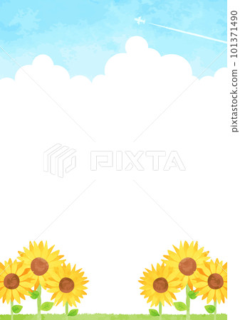 Landscape illustration with blue sky, sunflower field and white clouds 101371490
