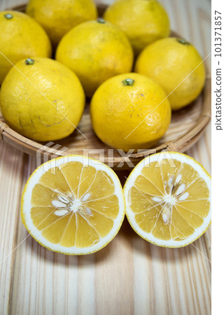 Konatsu mandarin oranges with refreshing sourness and sweetness 101371857