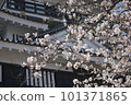 Hamamatsu Castle surrounded by cherry blossoms 101371865