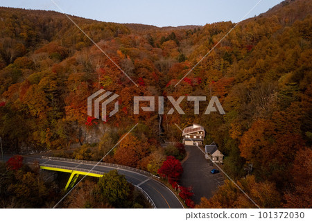 Autumn leaves of the day salt and leaves line Autumn leaves of the day salt and leaves line 101372030