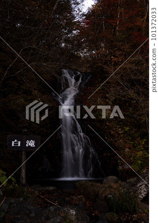 Nisio Momiji Line Shirataki Falls and Autumn Leaves Nisio Momiji Line Shirataki Falls and Autumn Leaves 101372033