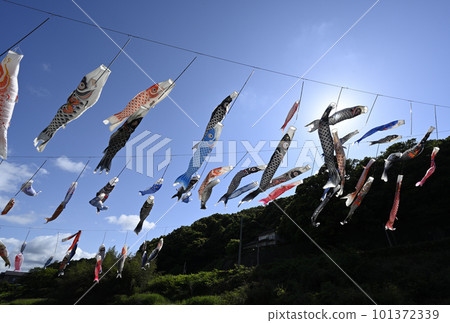 Yakumo Yuyu carp streamer Yakumo Yuyu carp streamer 101372339