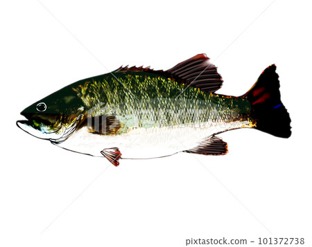 水彩巴士 101372738