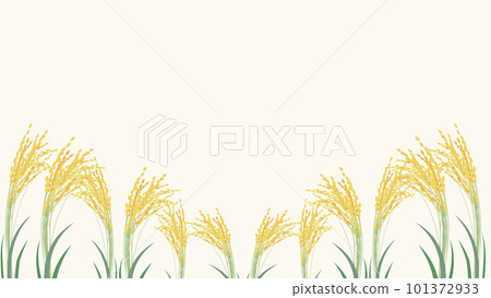 稻穗背景圖 101372933