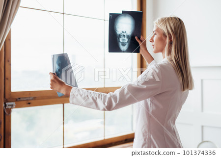 Woman radiologist looking at scans of skull. Woman radiologist looking at scans of skull. 101374336