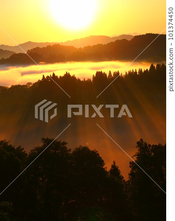 The Matsushiro Castle Ruins in Tokamachi City, a sea of clouds illuminated by the morning sun and a band of light shining through the valley 101374450
