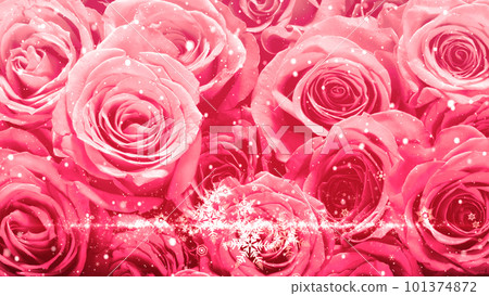 Snowflakes and glitter dance on the background of roses (with text space) 101374872