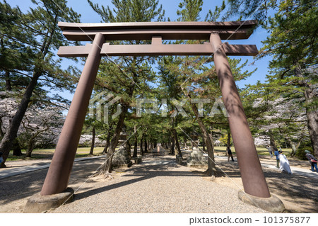 Landscape of Izumo Taisha Landscape of Izumo Taisha 101375877