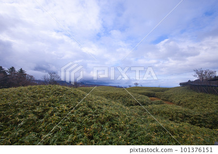 Shiretoko Five Lakes ground promenade 101376151