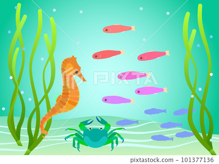 生活在鰻草床上的海洋生物的彩色卡通風格插圖 生活在鰻草床上的海洋生物的彩色卡通風格插圖 101377136