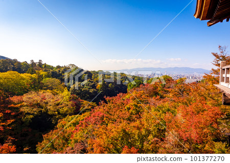 秋天在京都清水寺看到的京都市區的彩色秋葉和風景 101377270