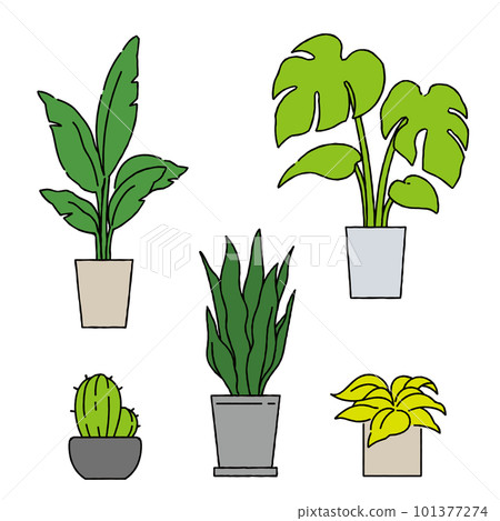 一個簡單的觀葉植物的插圖 101377274