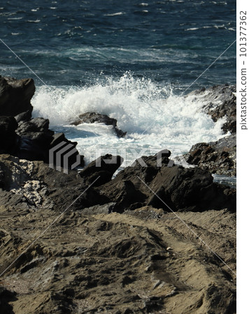 城島的海岸風光 城島的海岸風光 101377362