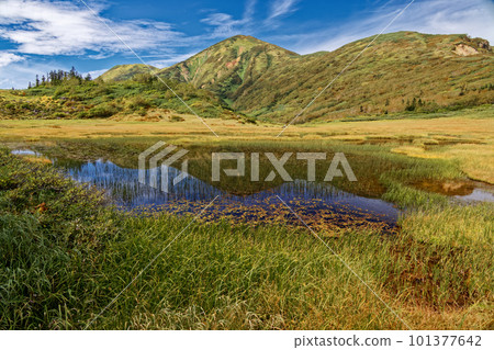 樋內山和樋內山 101377642