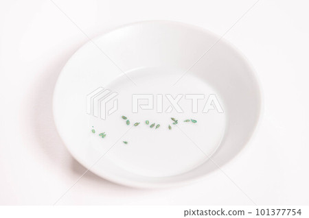 sweet carrot seeds 101377754