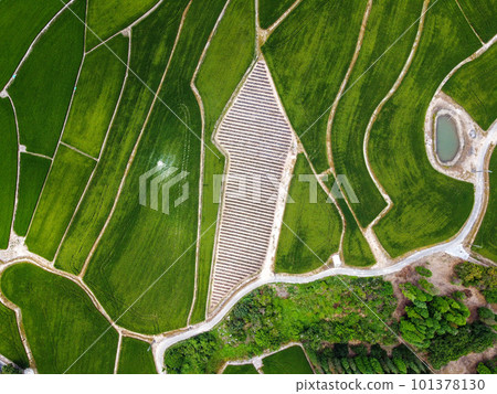 Aerial photo of farmland in Minxiong Township. 101378130