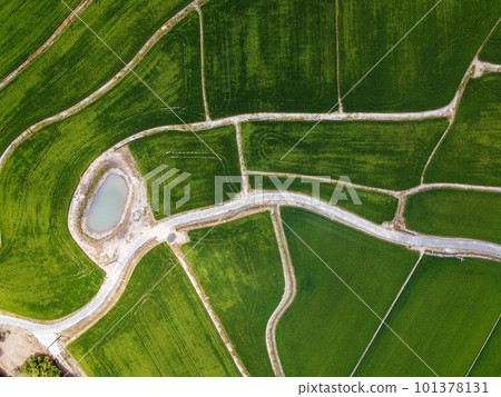Aerial photo of farmland in Minxiong Township. Aerial photo of farmland in Minxiong Township. 101378131