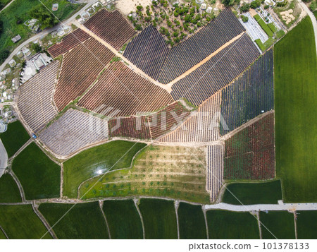 Aerial photo of farmland in Minxiong Township. Aerial photo of farmland in Minxiong Township. 101378133