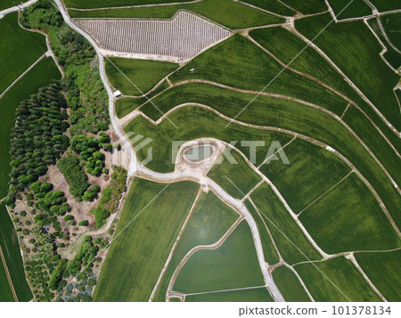 Aerial photo of farmland in Minxiong Township. 101378134