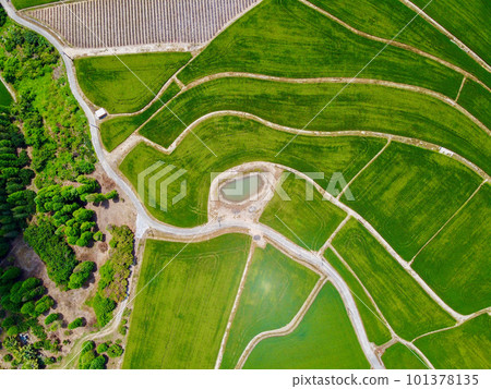 Aerial photo of farmland in Minxiong Township. Aerial photo of farmland in Minxiong Township. 101378135
