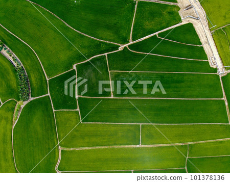 Aerial photo of farmland in Minxiong Township. 101378136