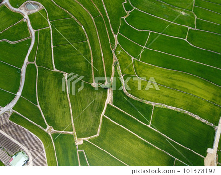 Aerial photo of farmland in Minxiong Township. 101378192