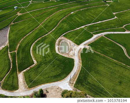 Aerial photo of farmland in Minxiong Township. 101378194