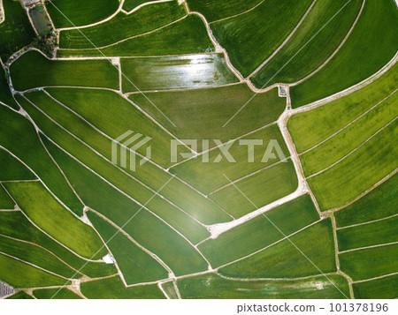 Aerial photo of farmland in Minxiong Township. 101378196