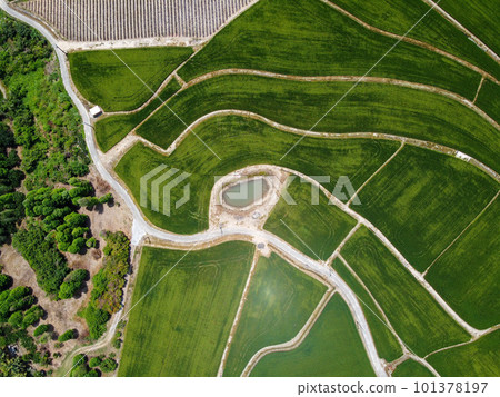 Aerial photo of farmland in Minxiong Township. 101378197