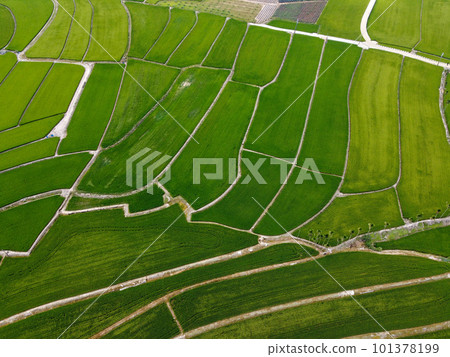 Aerial photo of farmland in Minxiong Township. Aerial photo of farmland in Minxiong Township. 101378199