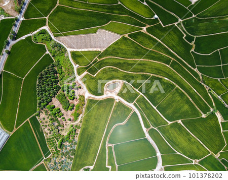 Aerial photo of farmland in Minxiong Township. Aerial photo of farmland in Minxiong Township. 101378202