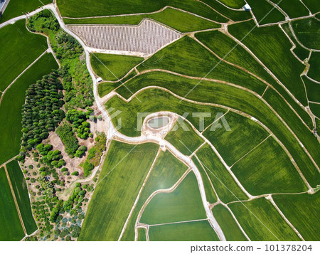 Aerial photo of farmland in Minxiong Township. 101378204