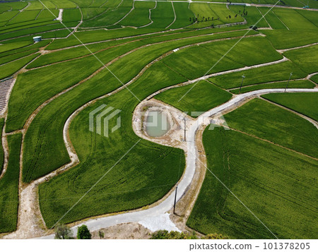 Aerial photo of farmland in Minxiong Township. 101378205