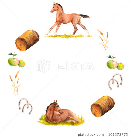 Watercolor illustration of wreath with a horse foals galloping and lying in the green grass, apples, haystack, horseshoes Watercolor illustration of wreath with a horse foals galloping and lying in the green grass, apples, haystack, horseshoes 101378775