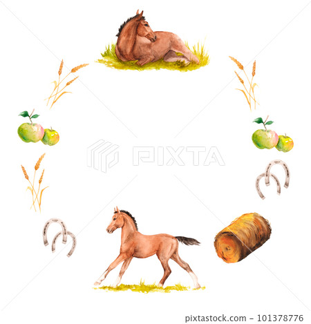 Watercolor illustration of wreath with a horse foals galloping and lying in the green grass, apples, haystack, horseshoes Watercolor illustration of wreath with a horse foals galloping and lying in the green grass, apples, haystack, horseshoes 101378776