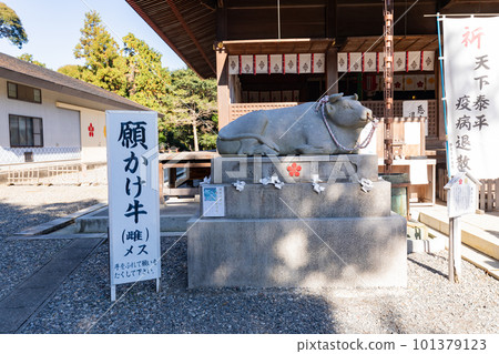 Mitsuke Tenjin Yanahime Shrine Wishing Beef 101379123