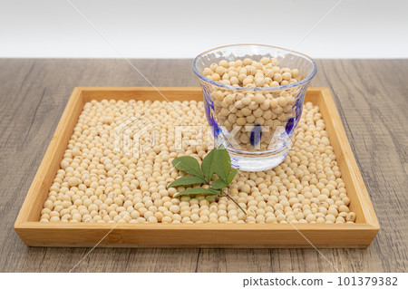 Dried soybeans spread out on a tray and soybeans in a glass Soymilk image Dried soybeans spread out on a tray and soybeans in a glass Soymilk image 101379382