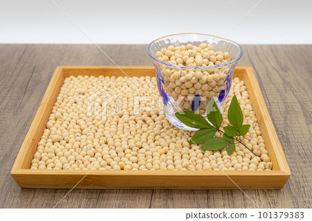 Dried soybeans spread out on a tray and soybeans in a glass Soymilk image Dried soybeans spread out on a tray and soybeans in a glass Soymilk image 101379383