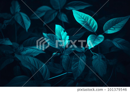 Tropical leaf forest glow in the dark background with copy space. High contrast concept 101379546