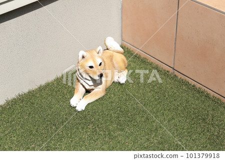 小狗柴犬雕像 小狗柴犬雕像 101379918