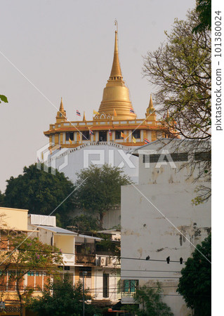 thailand, bangkok, temple 101380024